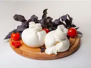 Burrata cheese 
