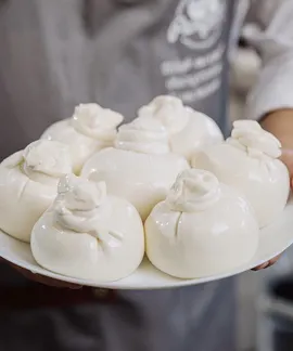 Cheeses/Yoghurts